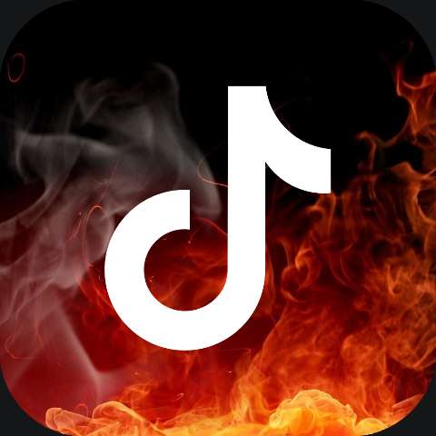 Preview for Tiktok-on-fire-logo-fire-icon-template-81cad