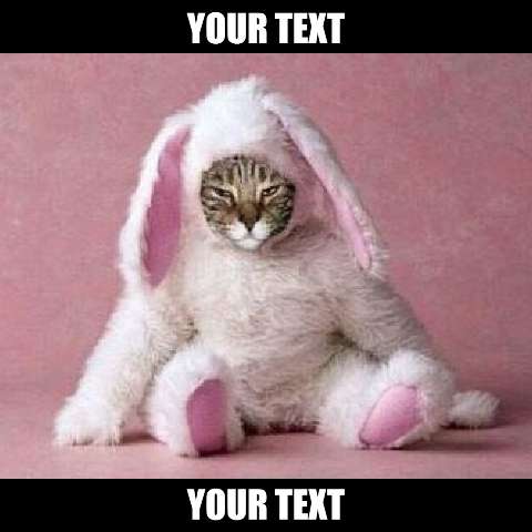 Preview for Funny-easter-cat-meme-easter-meme-template-383ec