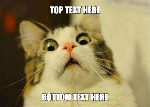 Preview for Surprised-cat-meme-template-fe4cc