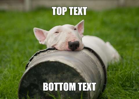 Preview for Sleeping-bull-terrier-meme-template-meme-dog-1b3b2