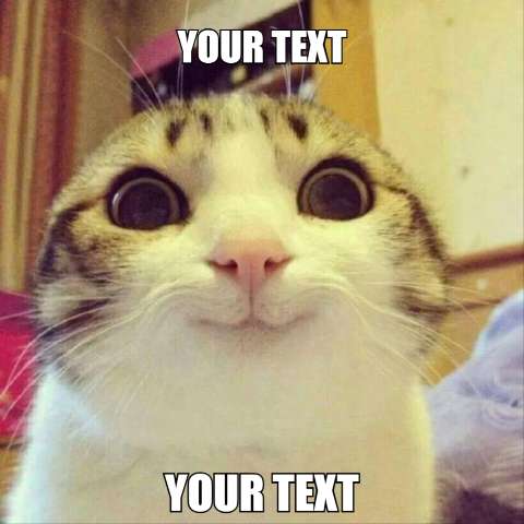 Preview for Surprised-cat-meme-template-meme-cat-66728