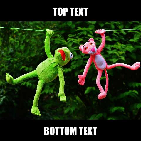 Preview for Kermit-miss-piggy-hanging-meme-meme-animal-template-ed108