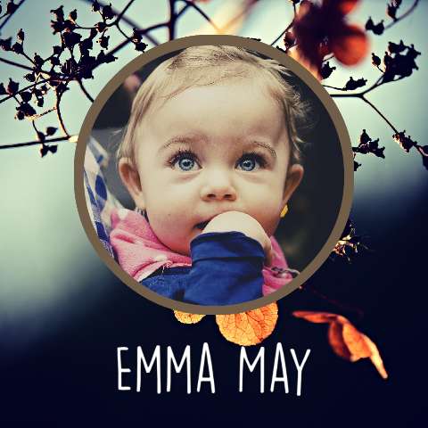 Preview for Emma-may-baby-autumn-portrait-square-template-1e499