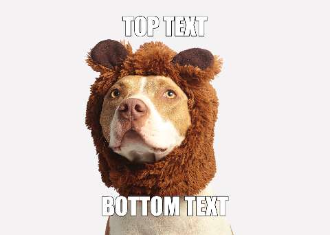 Preview for Doge-lion-meme-template-meme-dog-b8399