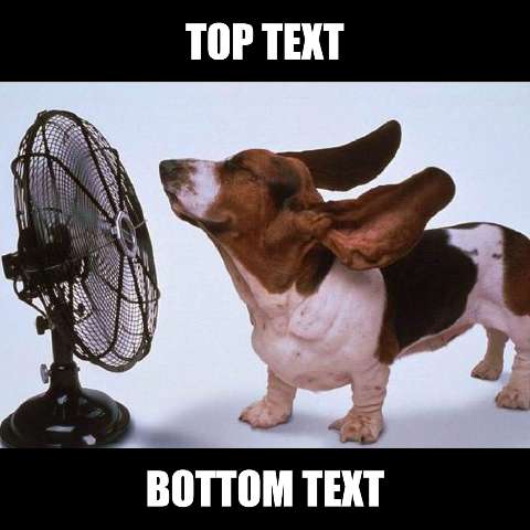 Preview for Basset-hound-enjoying-fan-summermeme-template-493df
