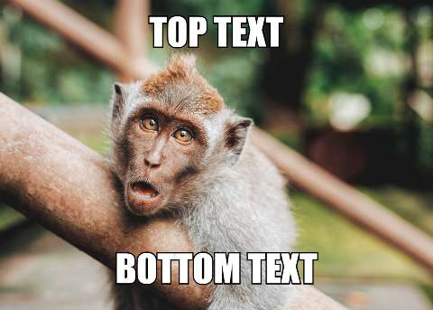 Preview for Surprised-monkey-meme-template-meme-animal-f7416