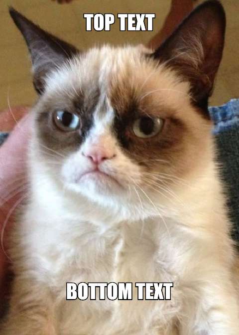 Preview for Grumpy-cat-meme-template-eddf7