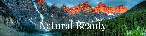 Preview for Natural Beauty Landscape Etsy Shop Banner Template