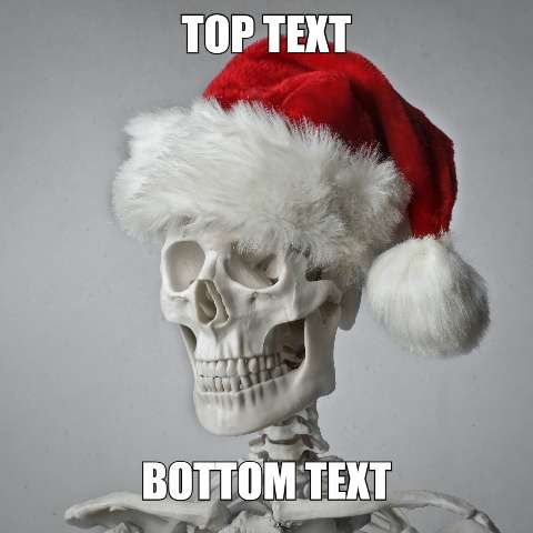 Preview for Skeleton-santa-hat-meme-meme-human-template-10ee1