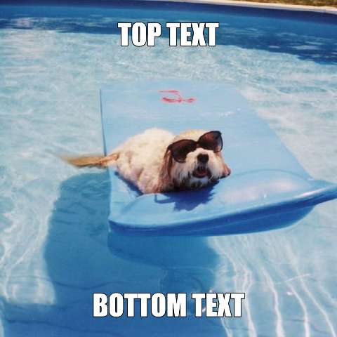 Preview for Dog-relaxing-on-pool-float-summermeme-template-f559b