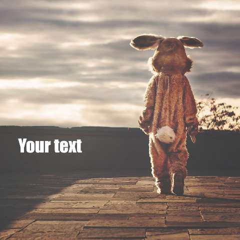 Preview for Child-in-bunny-costume-walking-alone-easter-meme-template-dc8ca