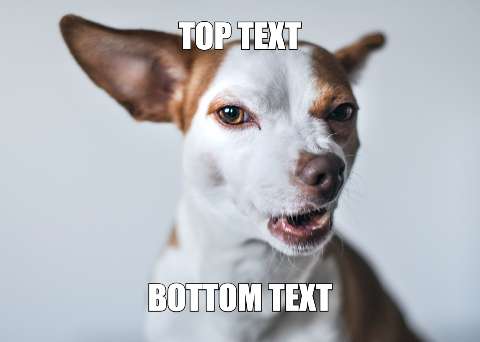 Preview for Meme-dog-template-dd30e