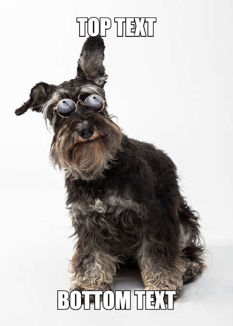 Preview for Cool-dog-meme-template-meme-dog-b2e06