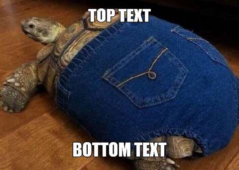 Preview for Tortoise-jeans-meme-summermeme-template-839c2