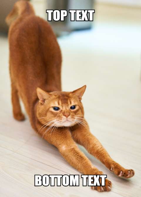 Preview for Stretching-cat-meme-template-meme-cat-36331