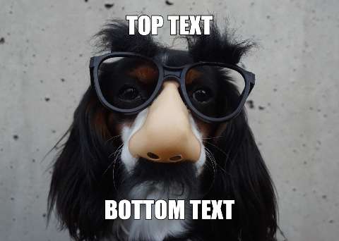 Preview for Funny-dog-meme-template-meme-dog-9159a