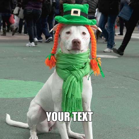 Preview for St-patricks-day-dog-stpatmeme-template-a796c