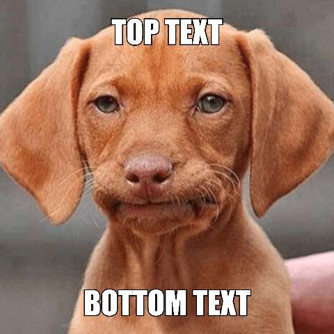 Preview for Sad-puppy-meme-template-0901b