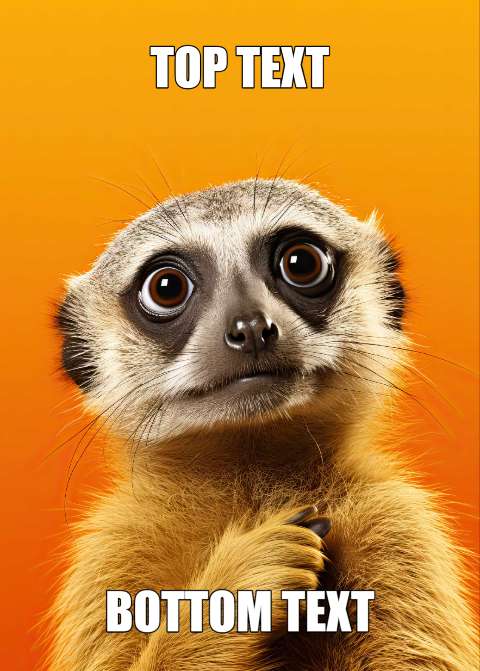 Preview for Surprised-meerkat-meme-template-meme-animal-18663