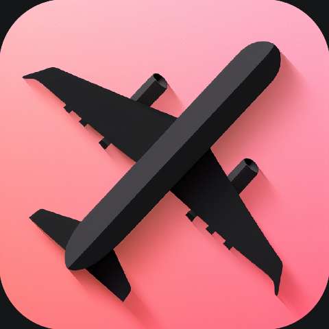 Preview for Airplane Icon Design Template