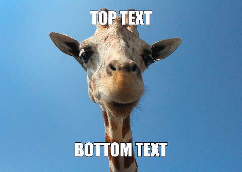 Preview for Giraffe-meme-template-meme-animal-90e93