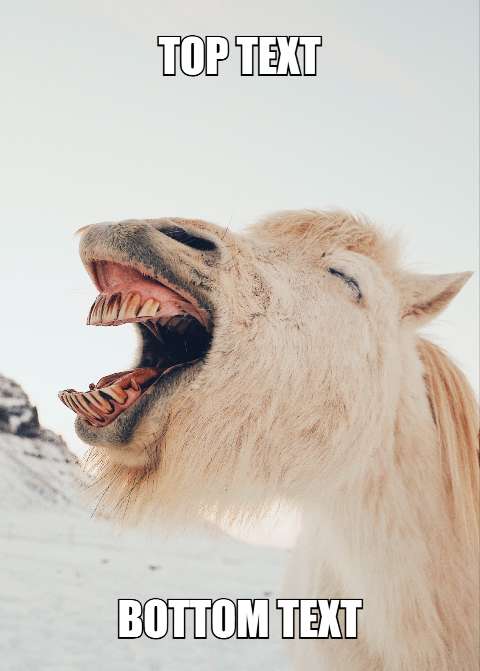 Preview for Laughing-llama-meme-template-meme-animal-33d09
