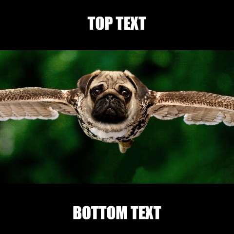 Preview for Pug-flight-meme-template-meme-animal-e3c1f