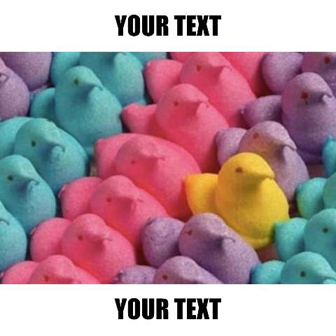 Preview for Colorful-peeps-marshmallow-treats-easter-meme-template-b86ff