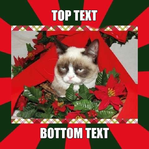 Preview for Grumpy-cat-christmas-meme-template-holidaymeme-dd801