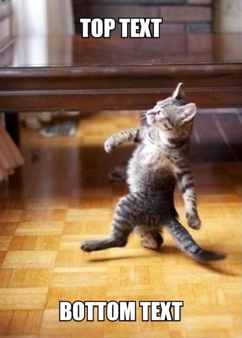 Preview for Funny-cat-meme-template-meme-cat-c4cc9