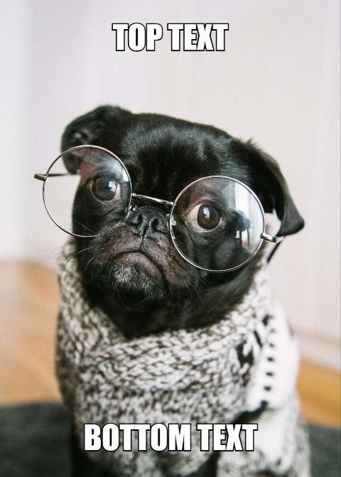 Preview for Pug-meme-template-meme-classic-a27b8