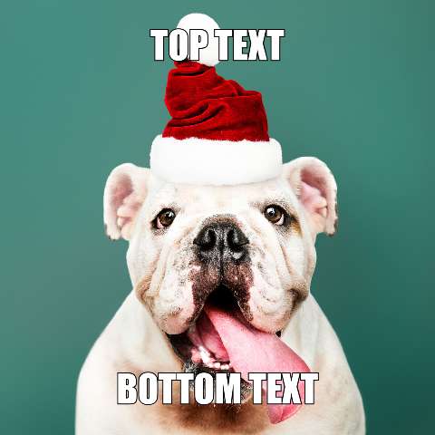Preview for Christmas-bulldog-meme-template-holidaymeme-33957