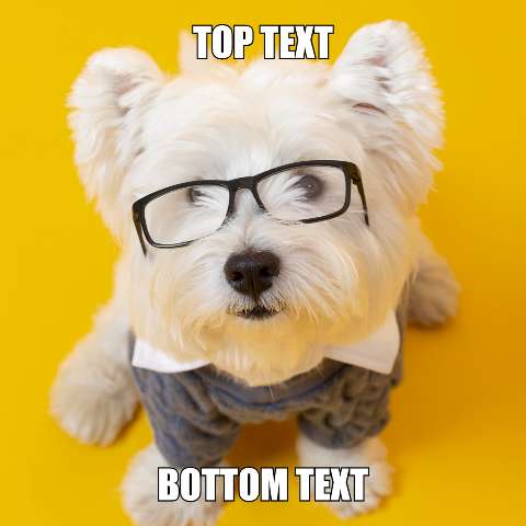 Preview for Funny-dog-meme-template-meme-dog-4dae4