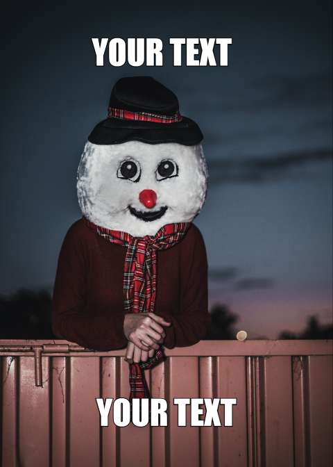Preview for Snowman-fence-portrait-meme-human-template-bc57a