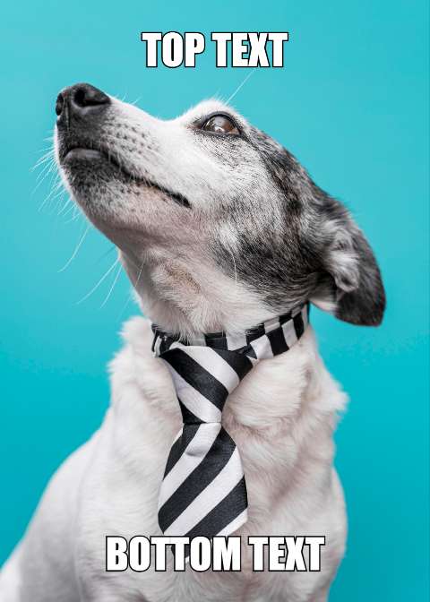 Preview for Dapper-dog-meme-template-meme-dog-603d8