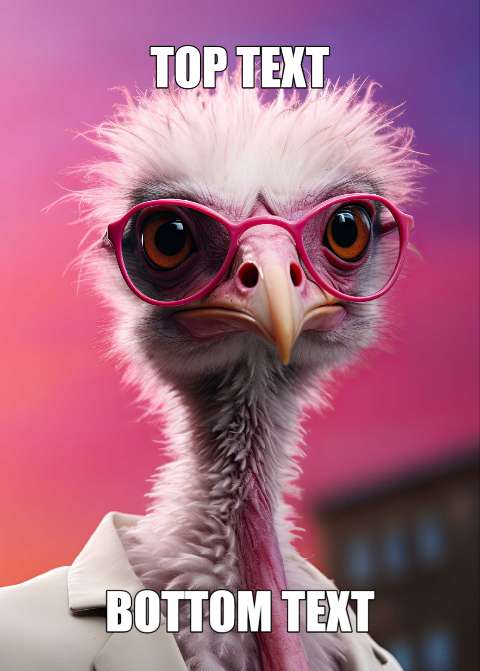 Preview for Ostrich-meme-template-meme-animal-8d8d2