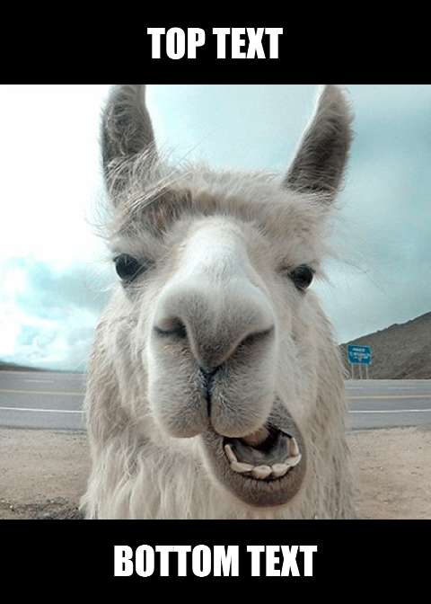 Preview for Llama-meme-template-d088b