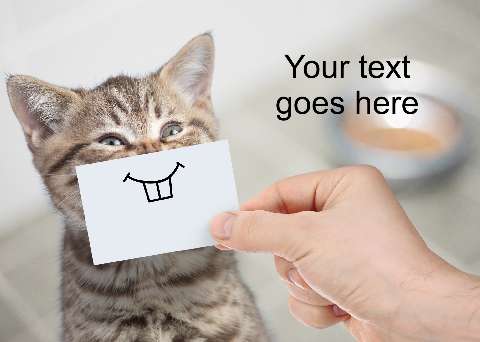 Preview for Cat-holding-card-with-drawing-meme-template-e93fe