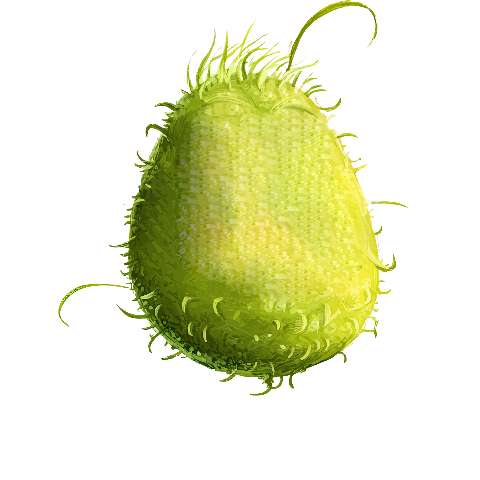 Preview for Prickly-green-seed-pod-monster-torso-template-80cfb