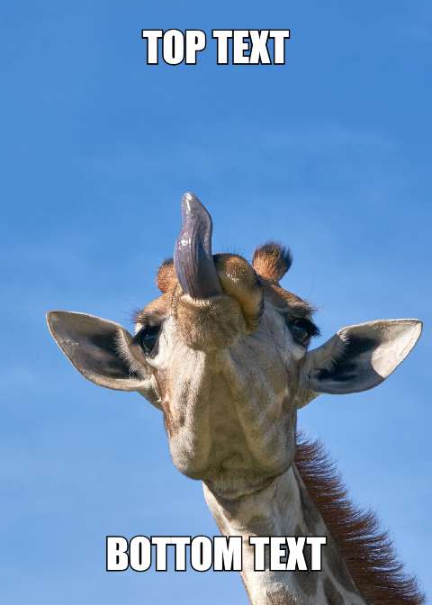 Preview for Giraffe-meme-template-meme-animal-2969c