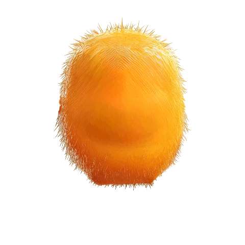 Preview for Fuzzy-orange-fruit-monster-torso-template-88a82
