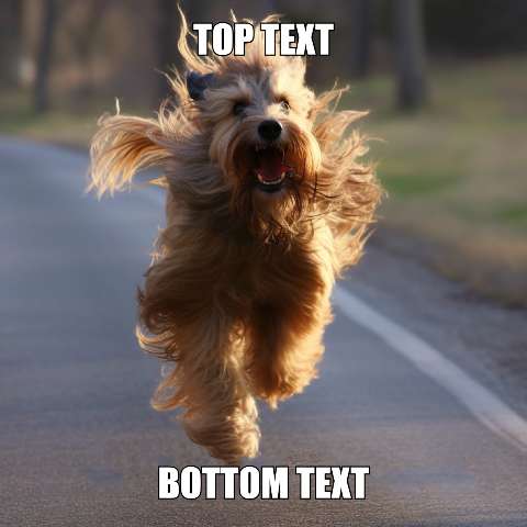 Preview for Happy-dog-running-template-meme-dog-b5953