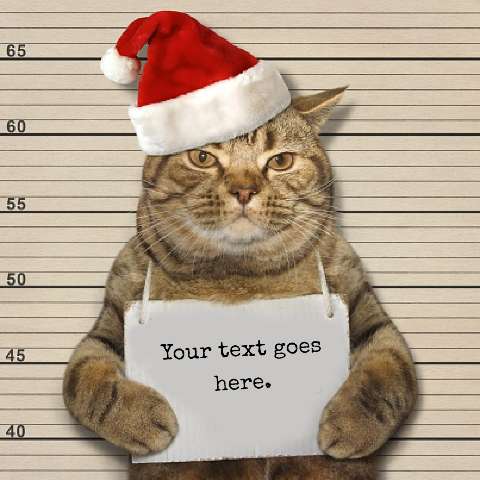 Preview for Funny-cat-santa-hat-mugshot-holidaymeme-template-e981f