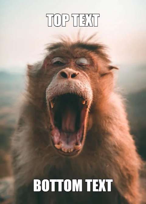 Preview for Laughing-monkey-meme-template-meme-animal-e8be0