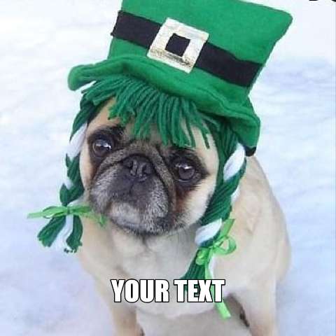 Preview for Pug-leprechaun-costume-stpatmeme-template-68310