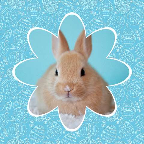 Preview for Easter-bunny-eggs-template-78b37