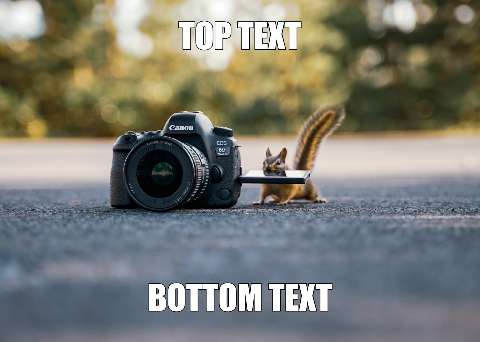 Preview for Squirrel-with-camera-meme-meme-classic-template-0b930