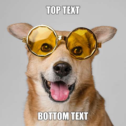 Preview for Funny-corgi-meme-template-meme-dog-a9cc0