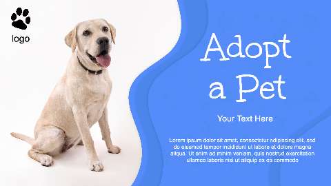 Preview for Pet-adoption-template-stray-e0cce