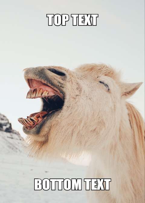 Preview for Laughing-llama-meme-template-meme-animal-363a4